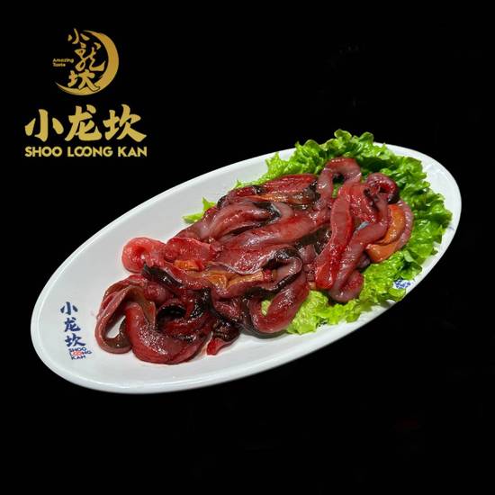 Eel 现划活鳝鱼